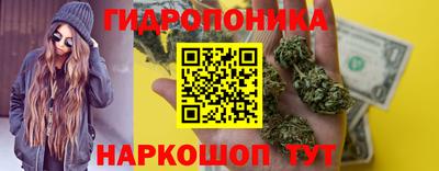 стаф Тулун